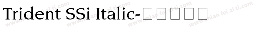 Trident SSi Italic字体转换